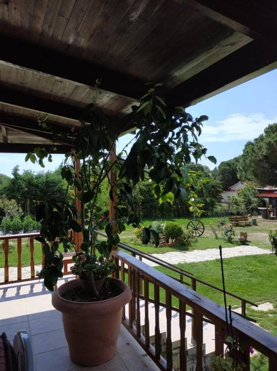 Ivonnis Garden Villa Mesimvria  Exterior foto