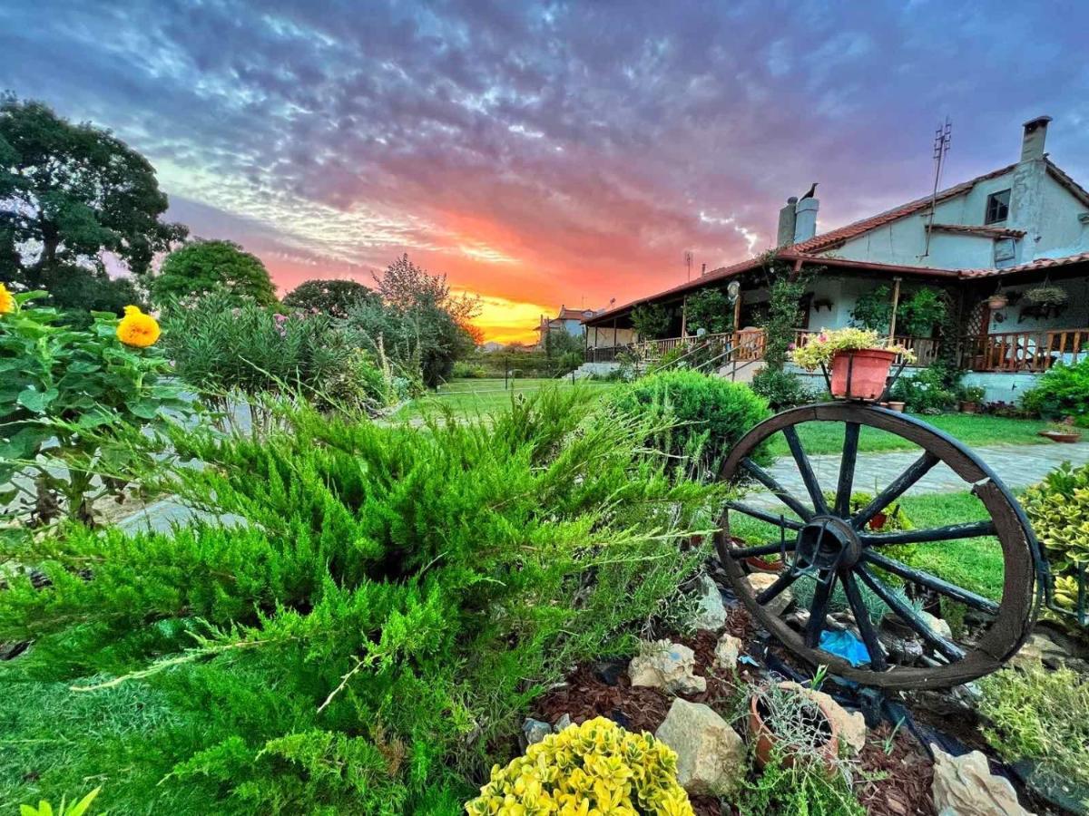 Ivonnis Garden Villa Mesimvria  Exterior foto