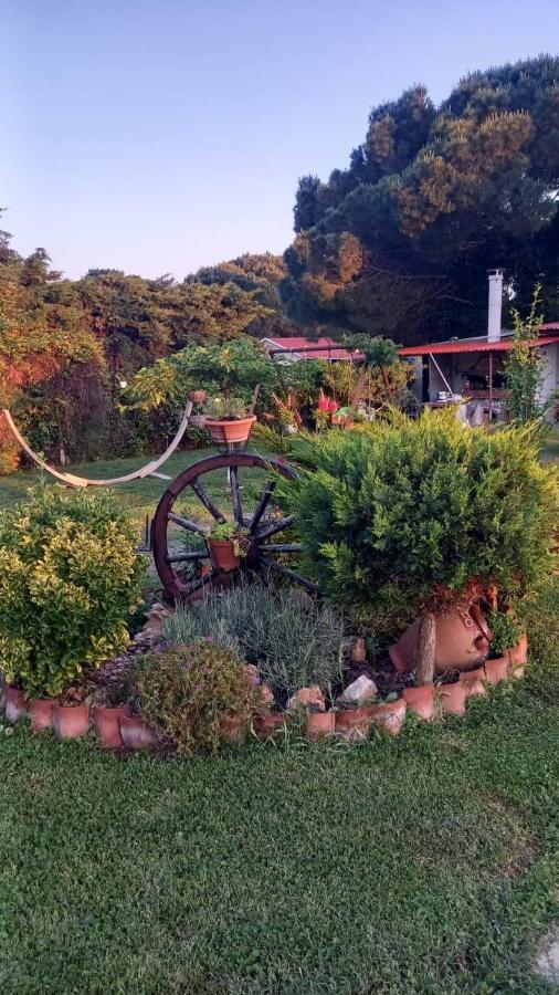 Ivonnis Garden Villa Mesimvria  Exterior foto