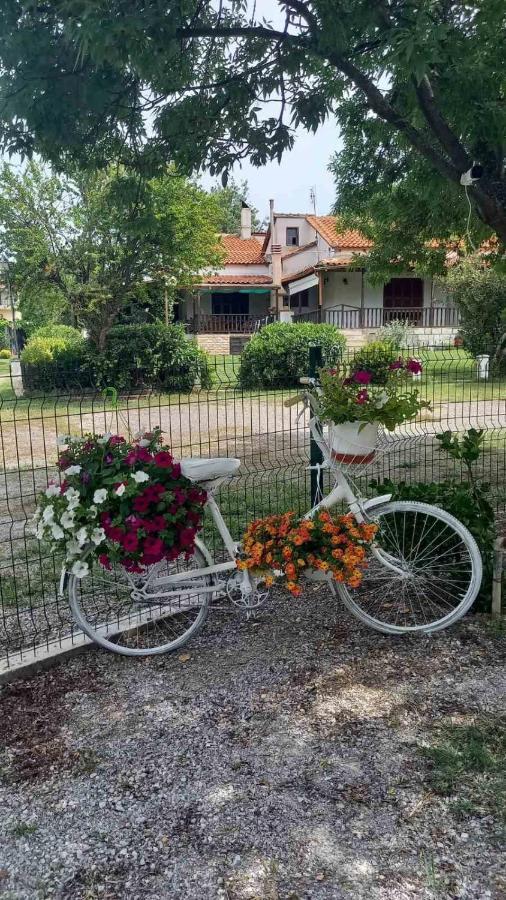 Ivonnis Garden Villa Mesimvria  Exterior foto